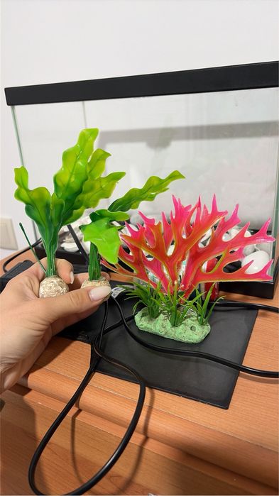Aquario com acessorios