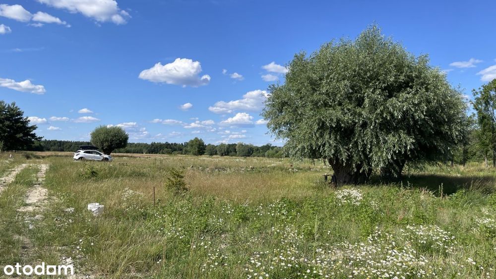 Działka budowlana 1000, 1680 m² - Widok 4