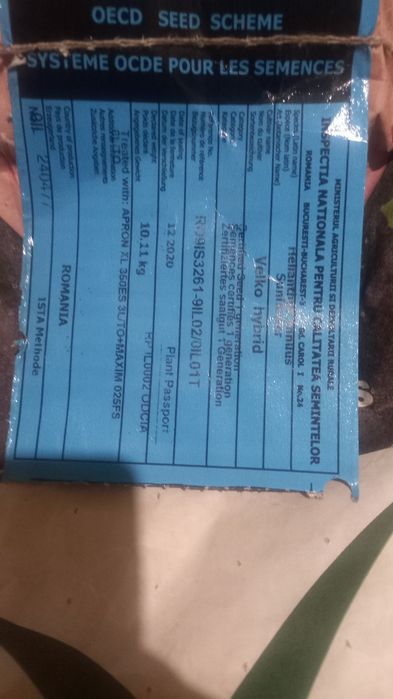 Продам семена подсолнуха