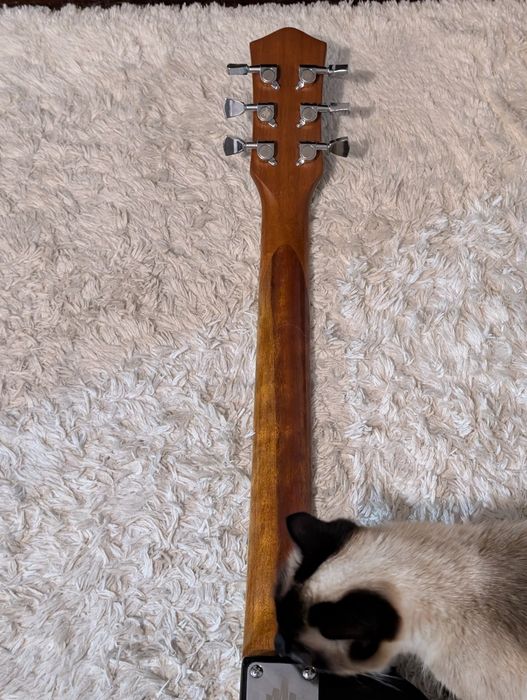 Guitarra elétrica  Donner