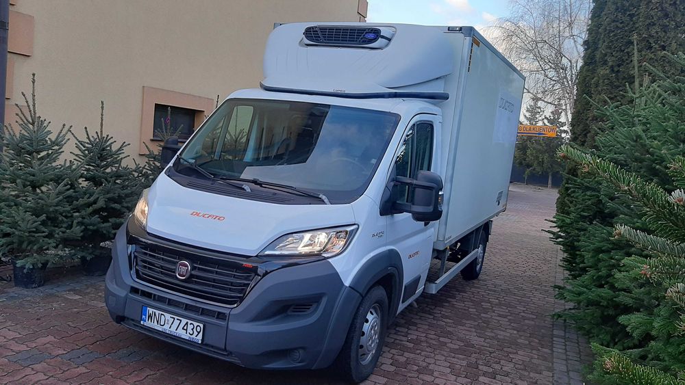 Fiat Ducato chłodnia izoterma