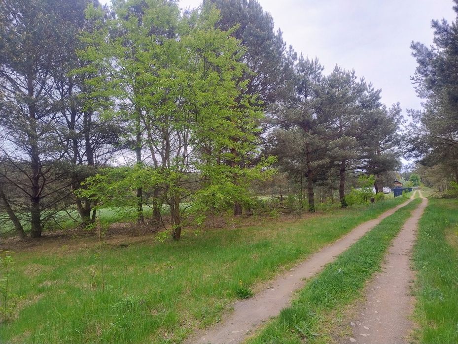 Sprzedam działki budowlane Wladyslawowo Nowe Miasto – pohled 4