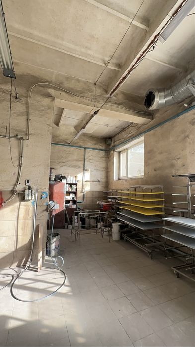 Продаж  виробництва  з землею 1 га