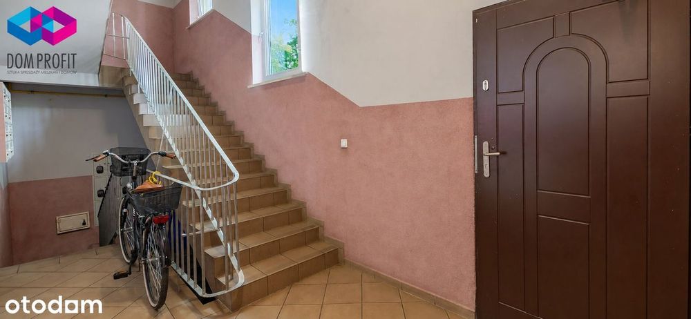 Zdjęcie 4