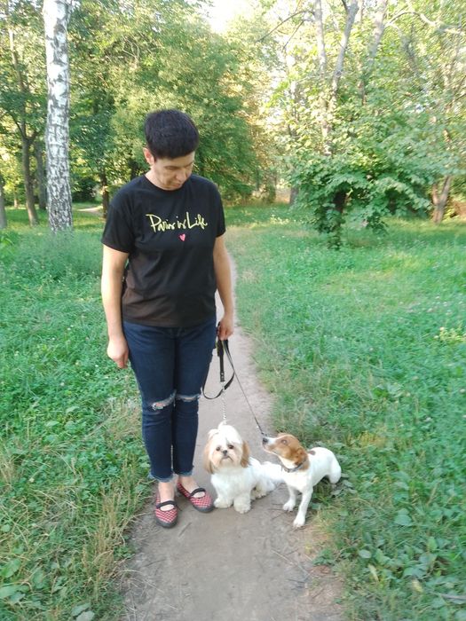 Перетримка та навчання для собак у Черкасах та області