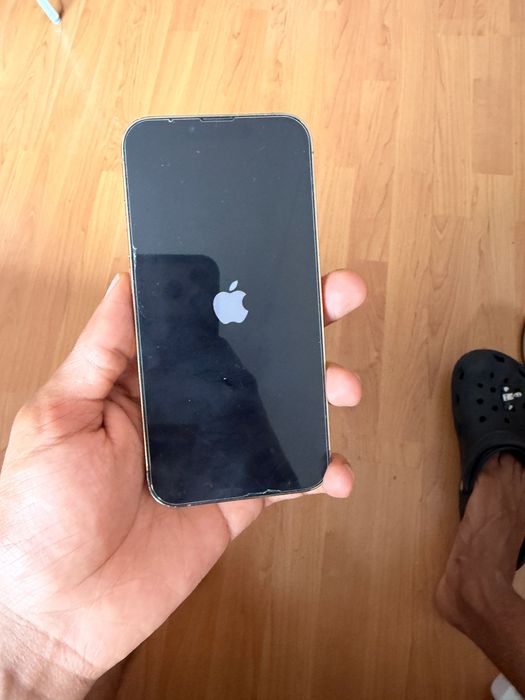 Apple iPhone 13 Pro