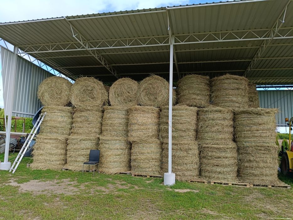 Wiata rolnicza niskobudżetowa