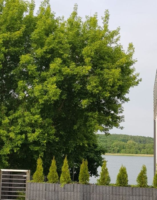 Nocleg NARTY Ferie Piknik Mazury Mrągowo apartament hotel Mikołajki