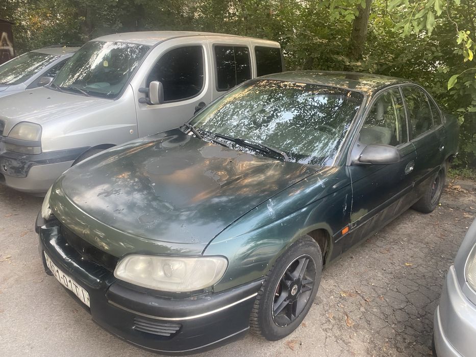 Без тупих питань