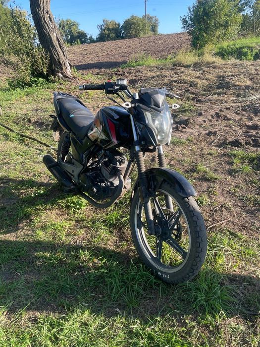 Продам мустанг регіон 150