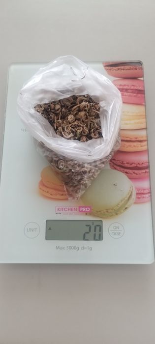 Насіння календули