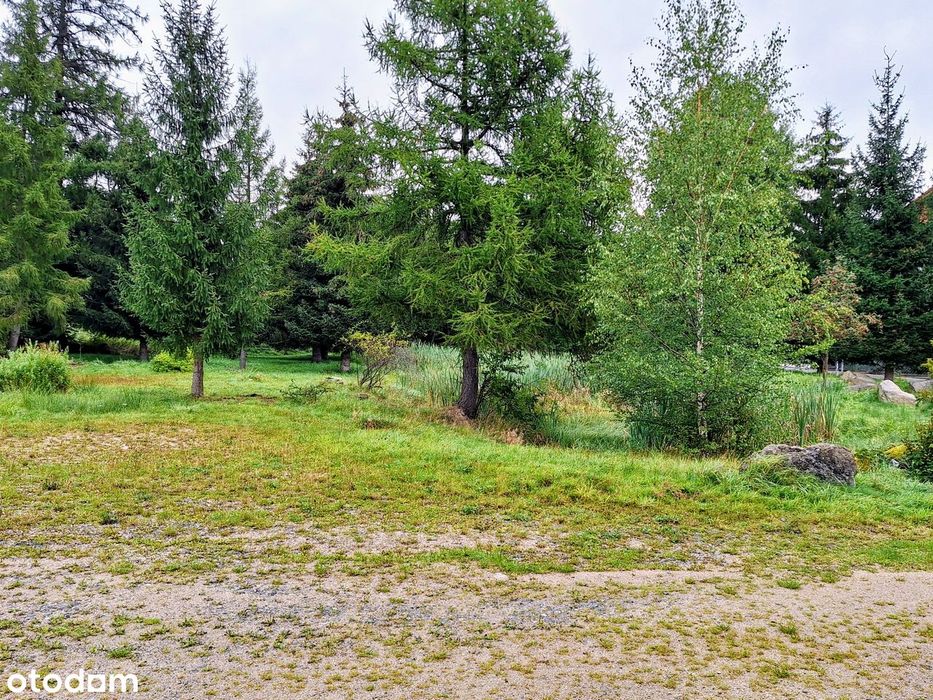 Wyjątkowa działka 1,17 ha z jeziorkiem – Szklarska Poręba - Widok 3