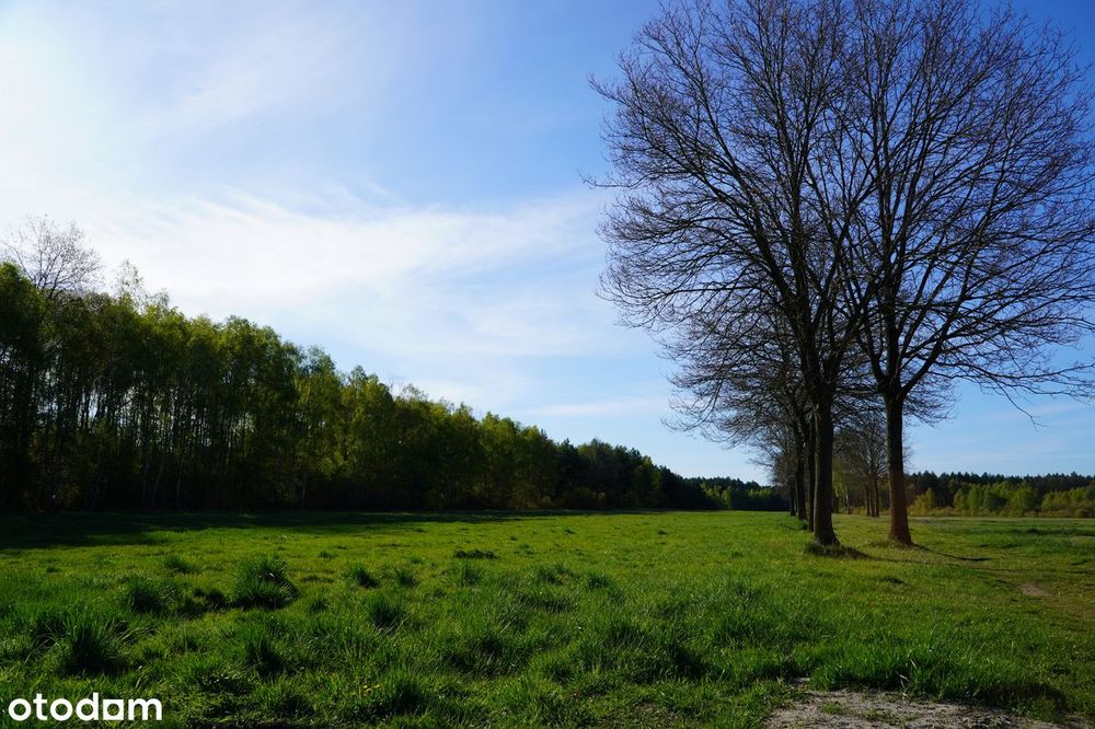 Dzialki budowlane Lipinki/Suchleb
