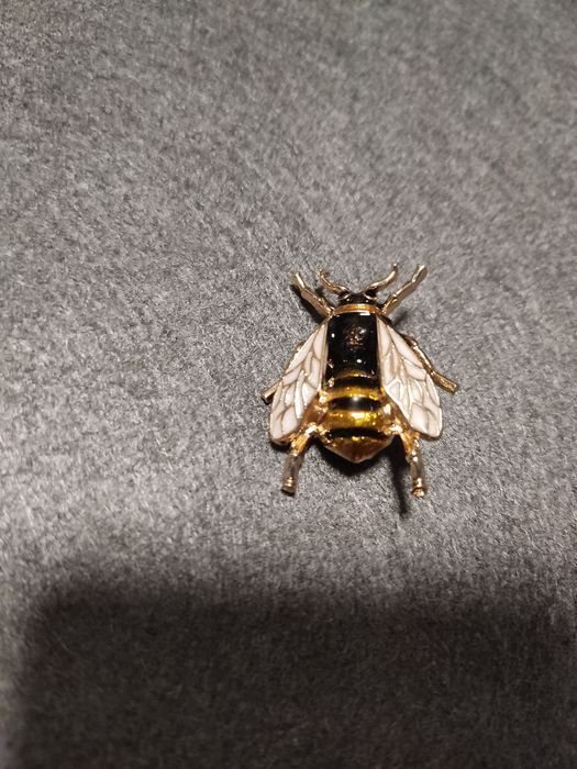 Piękna broszka w kształcie owada NOWA