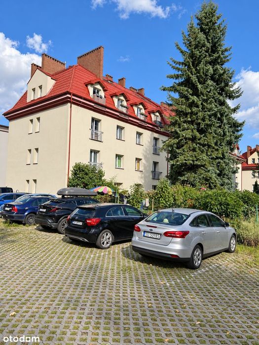 Zdjęcie 8