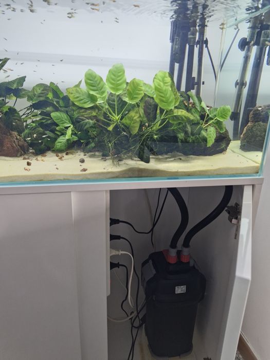 Aquário todo equipado