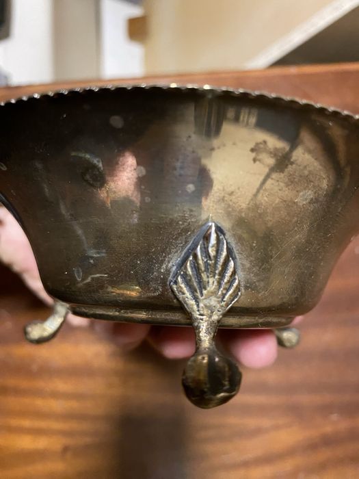Shell-shaped Cup64751290021763122