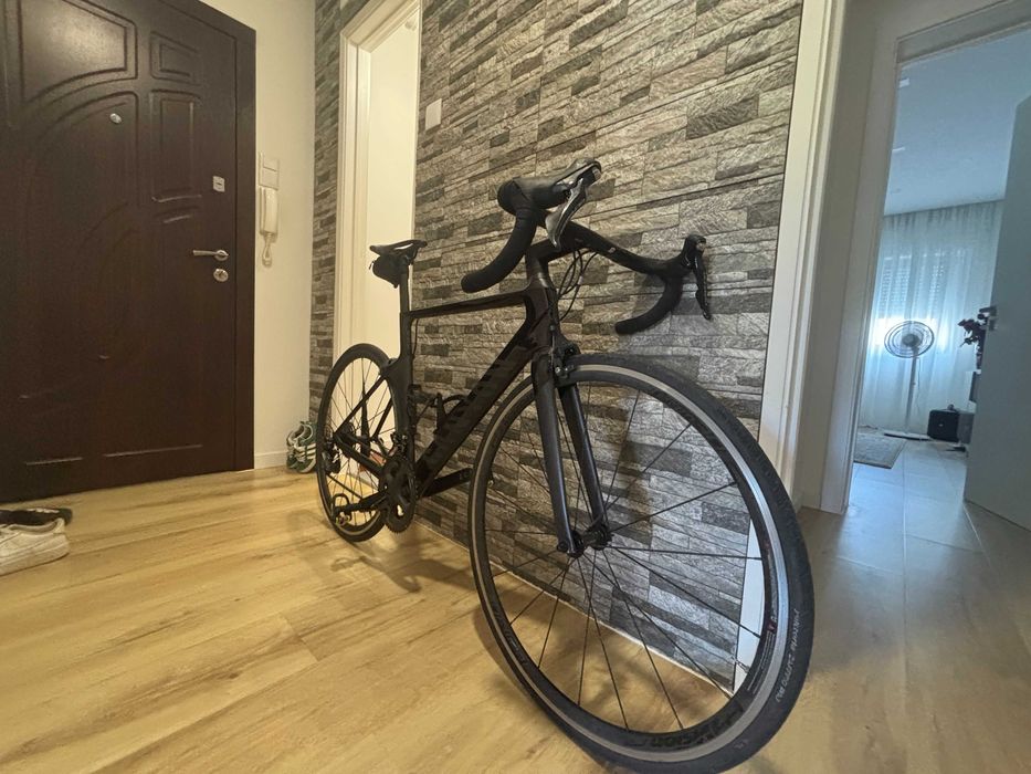 Canyon Endurance 2021