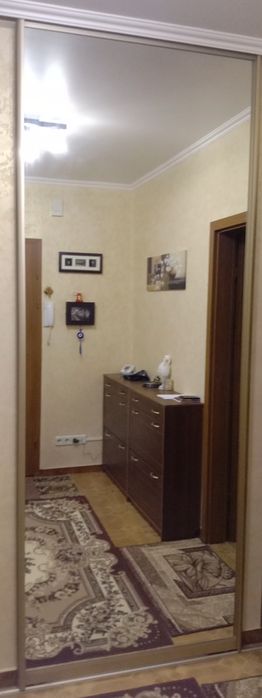 Зеркало от двери шкаф купе.