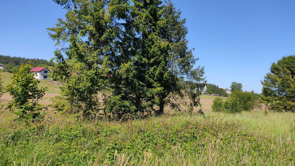 Koleczkowo koło Gdyni działkę budowlaną 1443 m² sprzedam - Widok 5