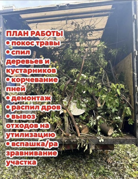 Расчистка участков / Уборка участков / Спил деревьев/Вывоз веток