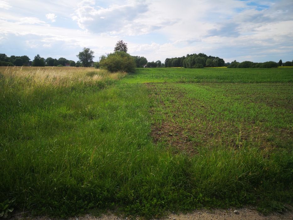 Działka budowlana pod Gorzowem z WZ 2900 m2