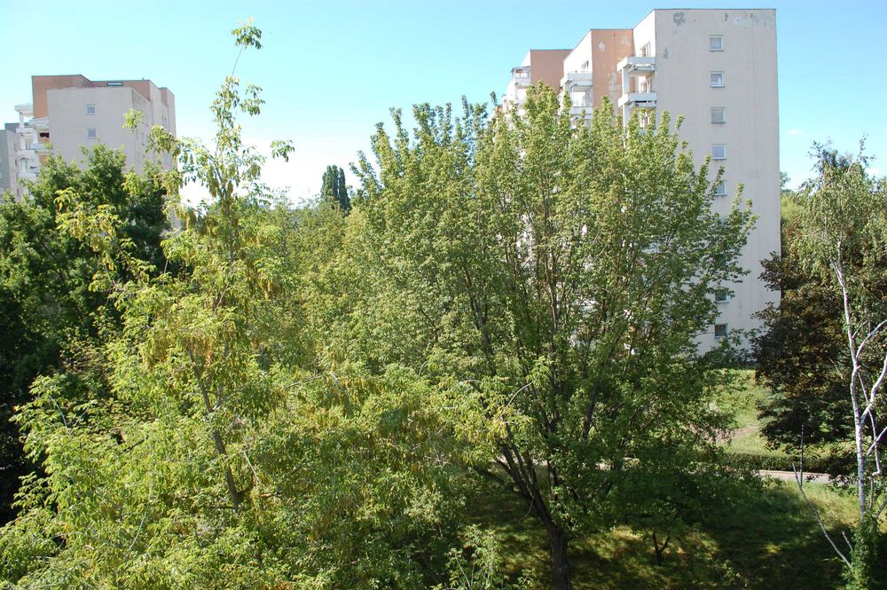 Mieszkanie – Warszawa, Sielce, Mokotów - Widok 4