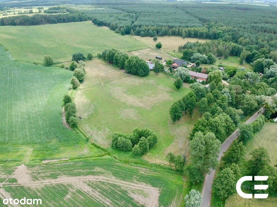 Siedlisko 2,3 ha | zabudowania | cisza | Zbytowa