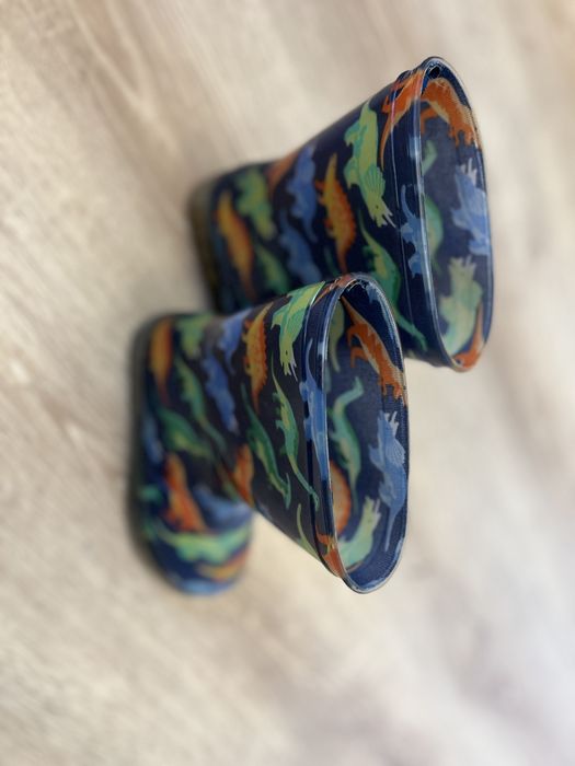 Kalosze dinozaury 27