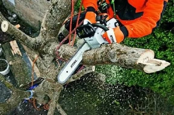 Зріз ,видалення дерев