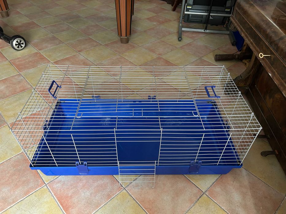 Gaiola Pocos da Índia/Coelhos