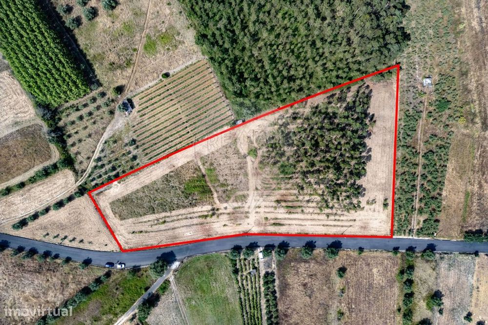 Terreno  para venda — Cadima, Coimbra