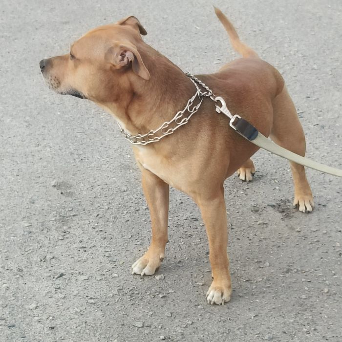 Хлопчик шукає дівчинку