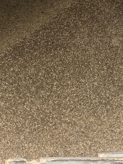 Owies i jęczmień rok po centrali