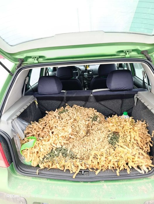 ПОДАМ VW ГОЛЬФ 4 1.6 газ.бенз.ціна до понеділка 85тис