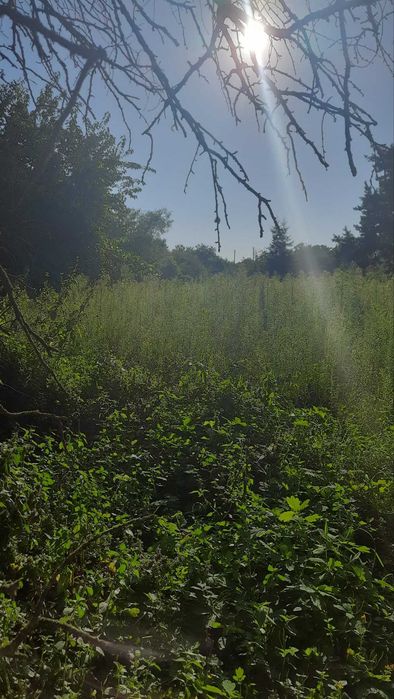 .Продаж земельної ділянки під будівництво у с. Кедина Гора.
