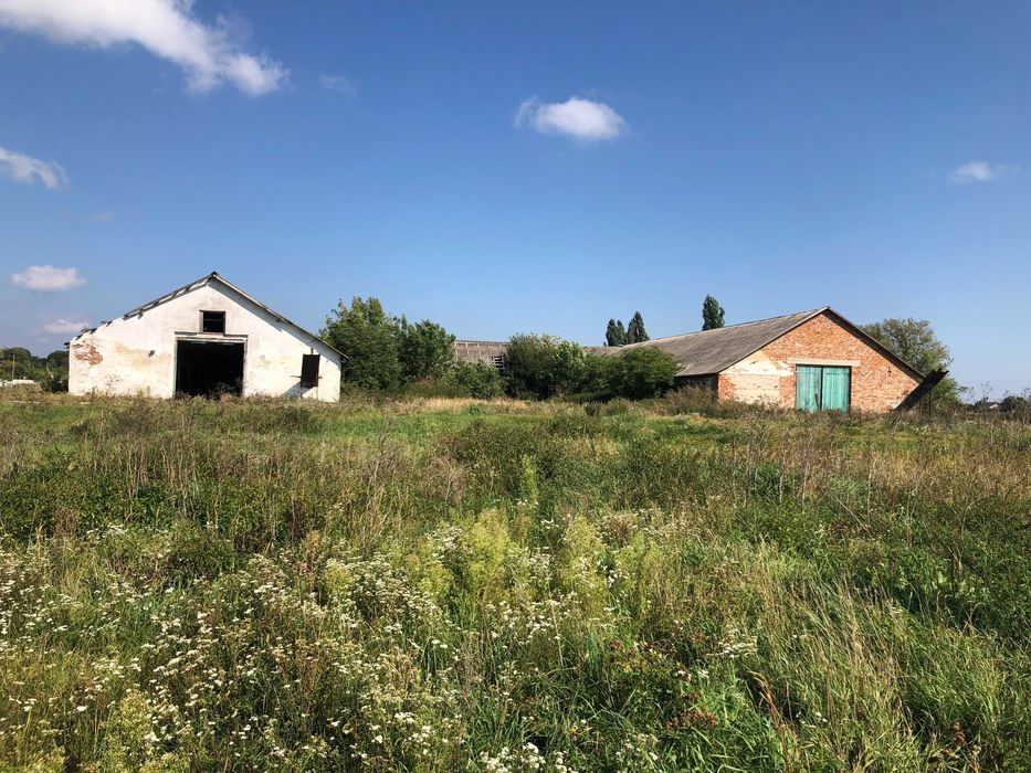 комплекс будівлі ферми c. Квітневе