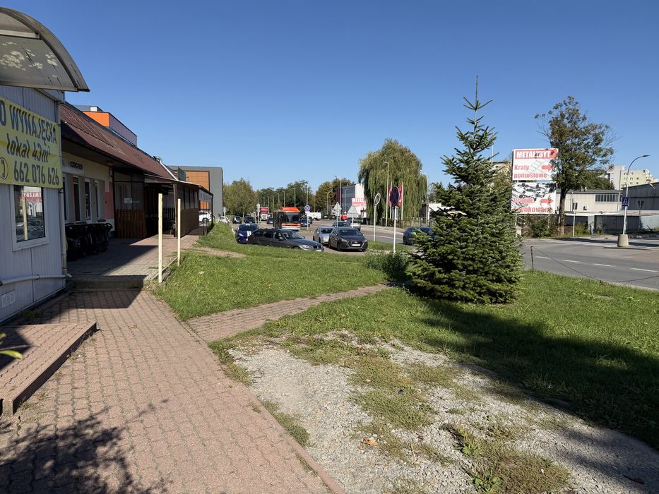 Zdjęcie 5