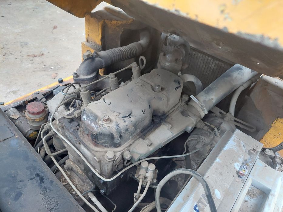 Wuzek widłowy bulgar