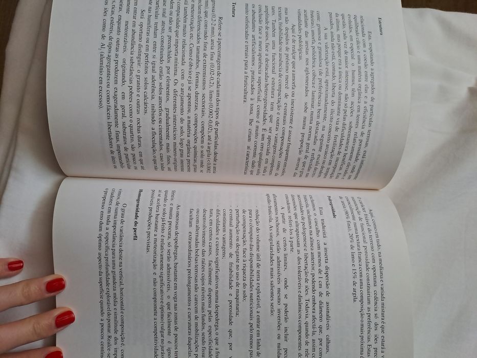 Livro "Fruticultura Tecnologias Competitivas" de Ildefonso Saraiva