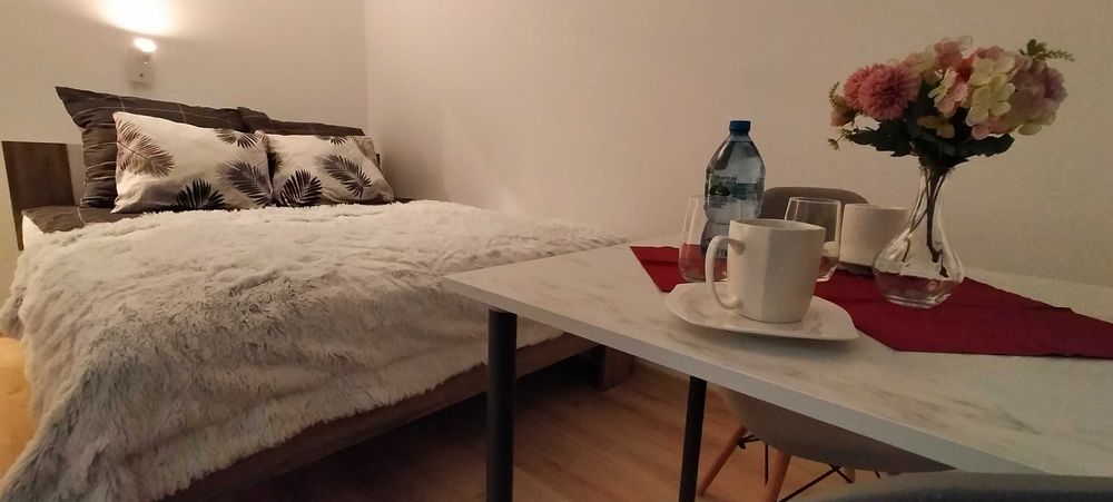 Apartament Studio wynajem Sosnowiec Kazimierz Górniczy