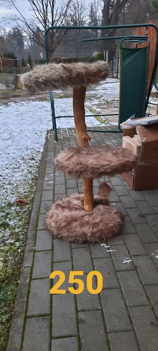 Drapaki dla kotów