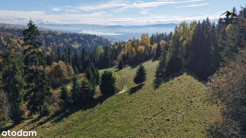 Widokowa polana w Gorcach
