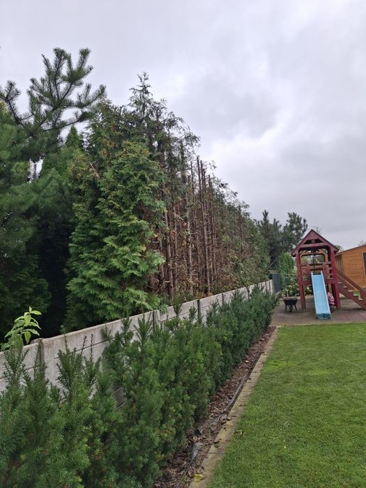 Usługi ogrodnicze, Uprawa glebogryzarką, rębakiem, wertykulacja