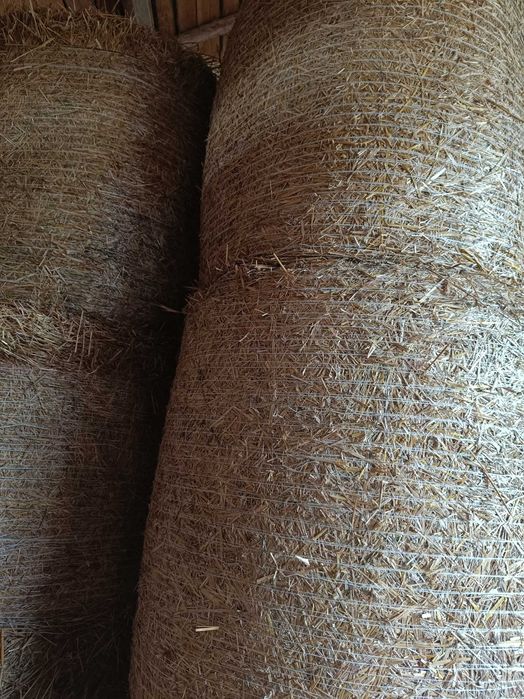 Siano/ słoma/  120/120