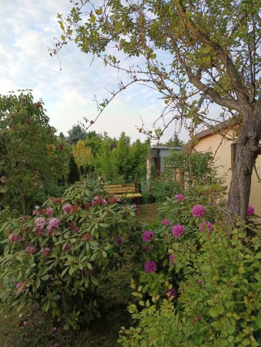 Działka na ROD Zelów z domkiem