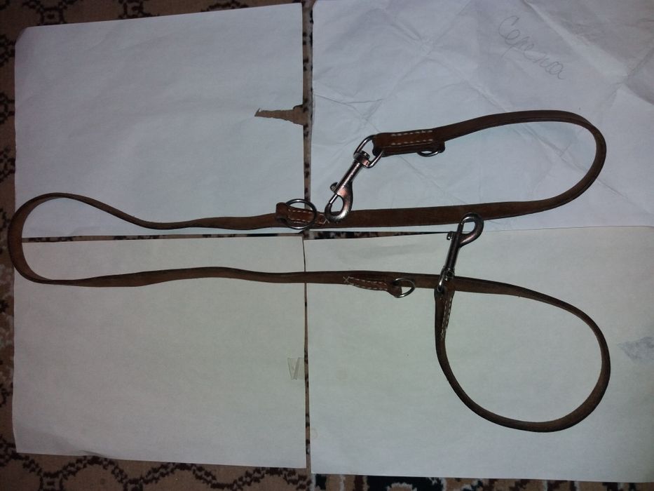 Поводок для пса