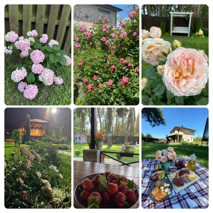 Затишний будинок з каміном в сосновому лісі, 10 соток.