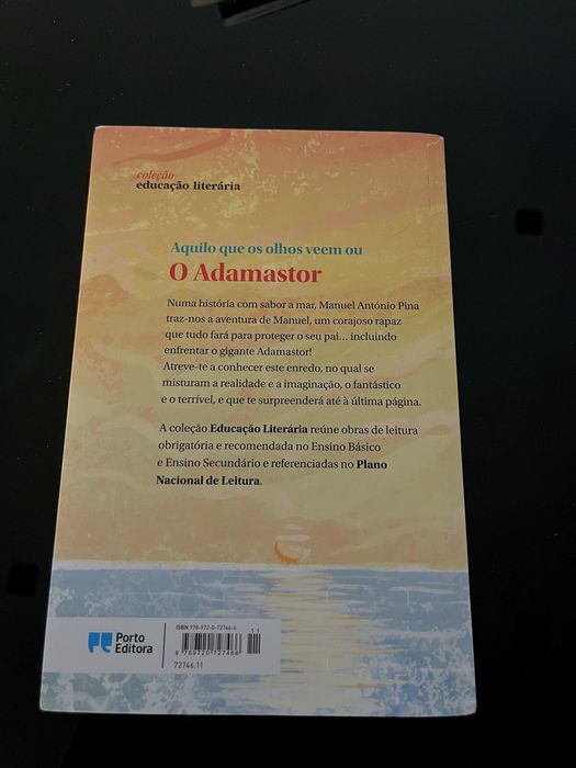 Aquilo que os olhos veem ou O Adamastor