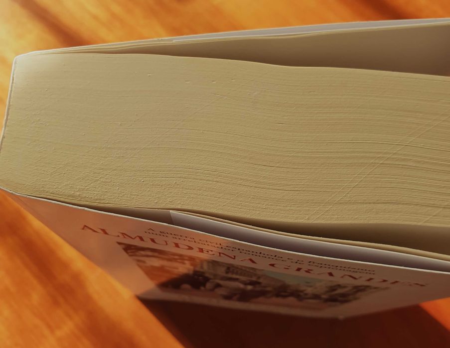 Os Doentes do Doutor Garcia - Almudena Grandes (portes incluídos)